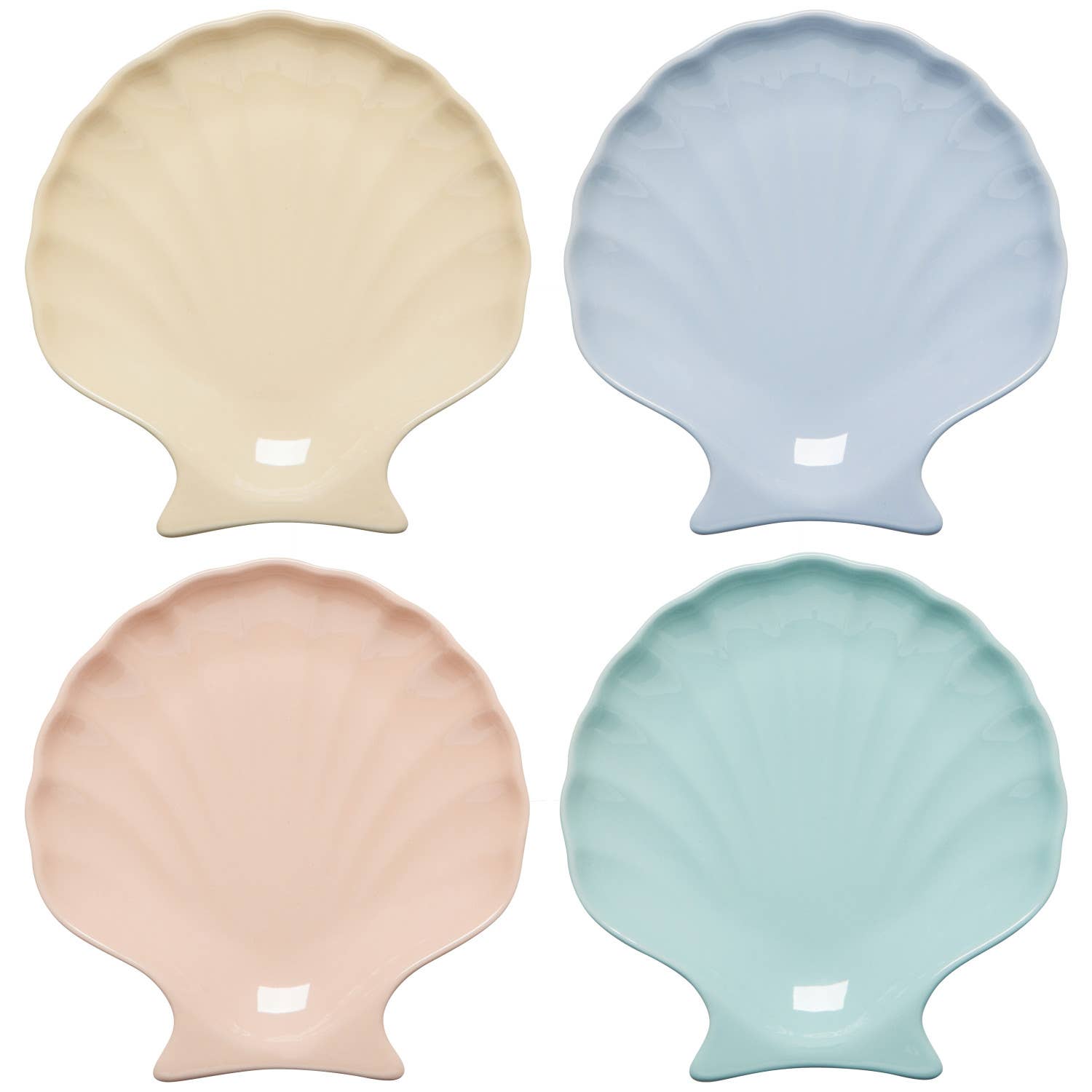 Assorted Seaside Shells Plate