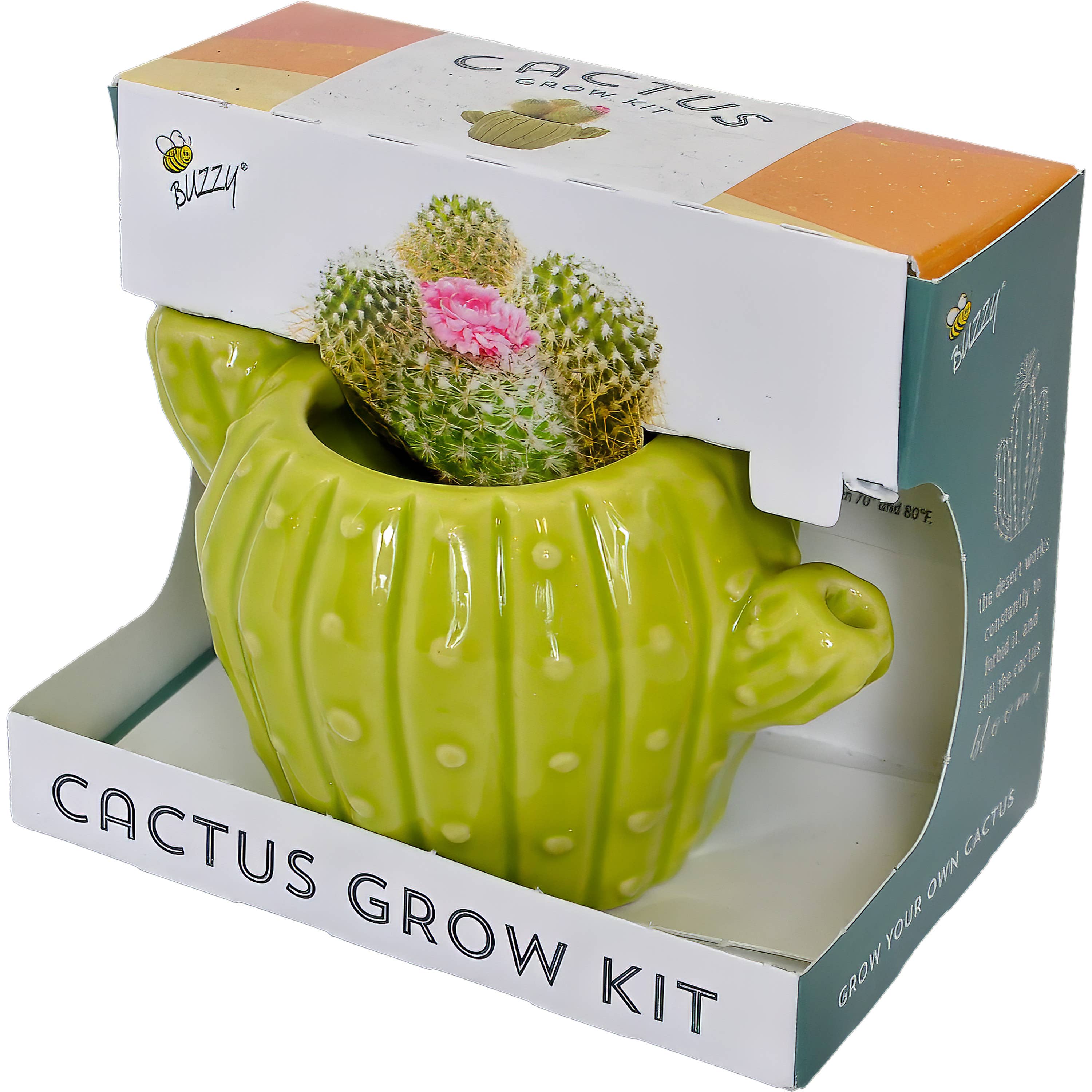 Cactus Grow Kit