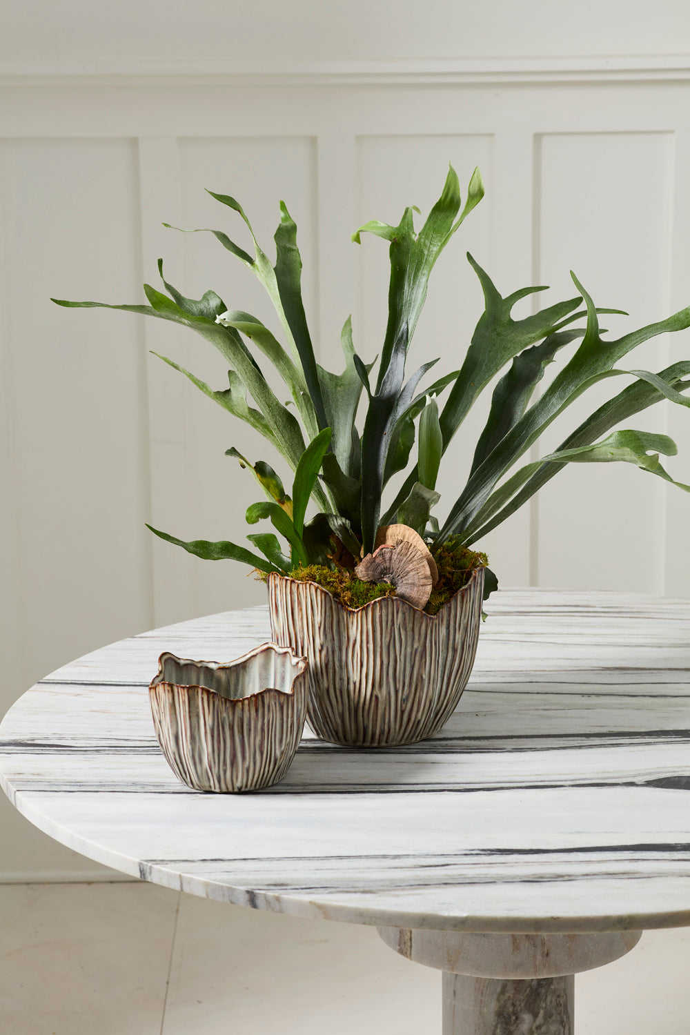 Capira Pot