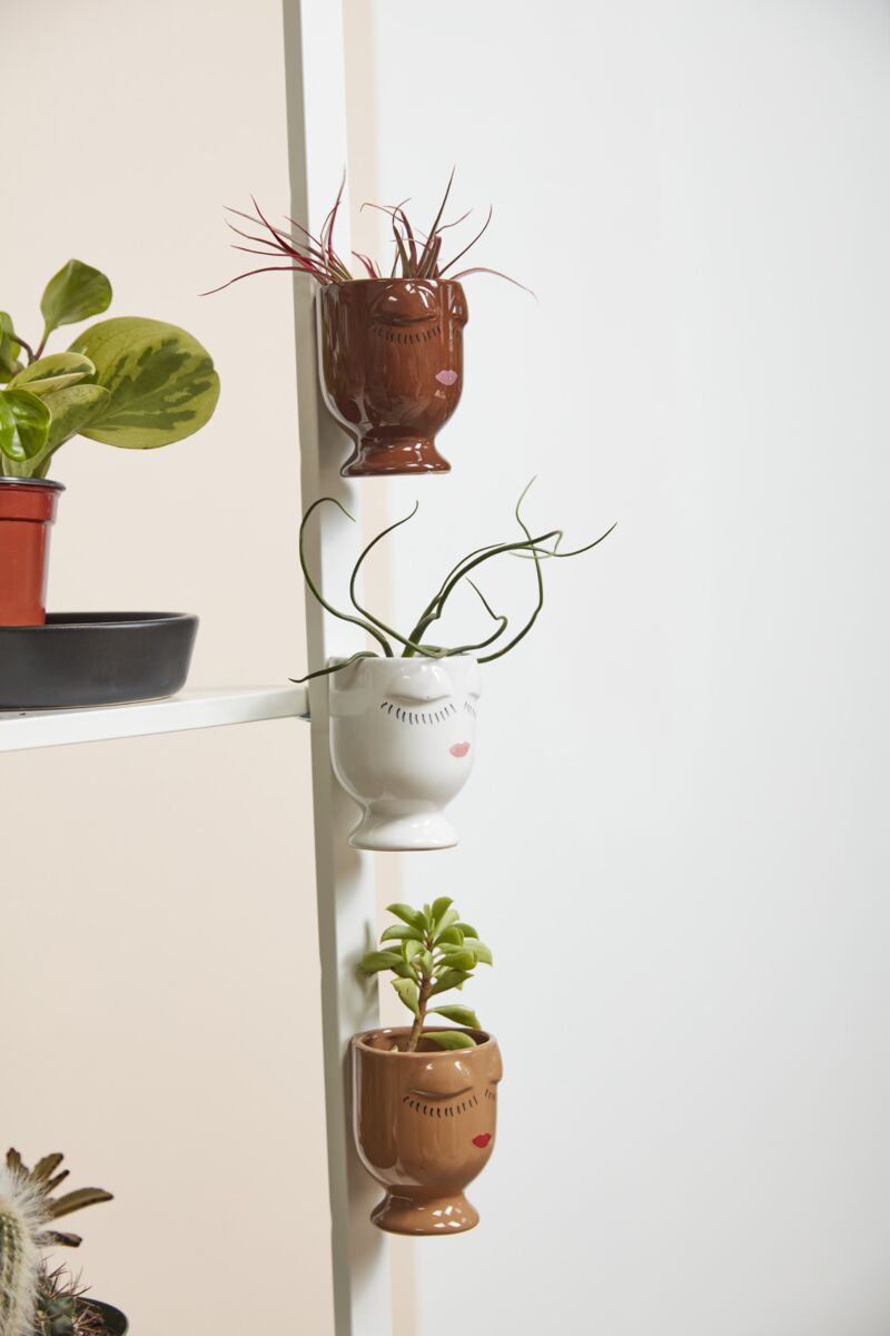 Celfie Magnetic Pot
