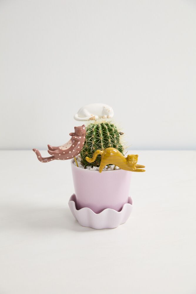 Curious Cats Plant Sticks