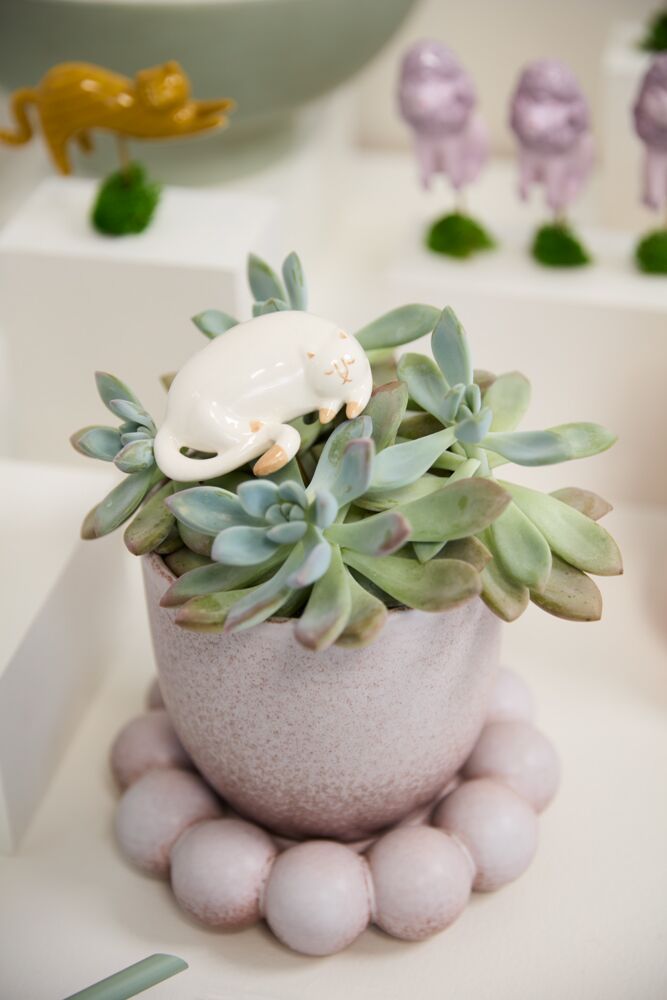 Curious Cats Plant Sticks