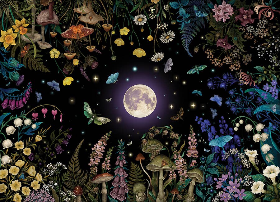 Night Garden 500pc puzzle