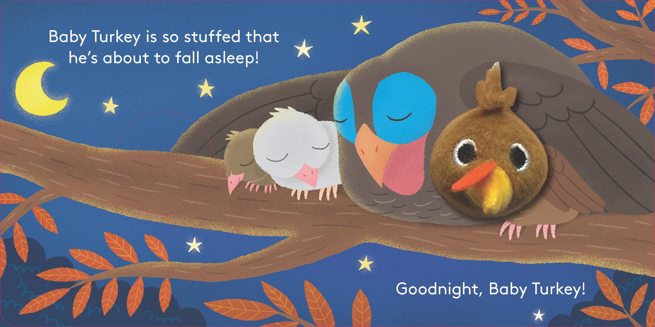 Baby Turkey: Finger Puppet Book