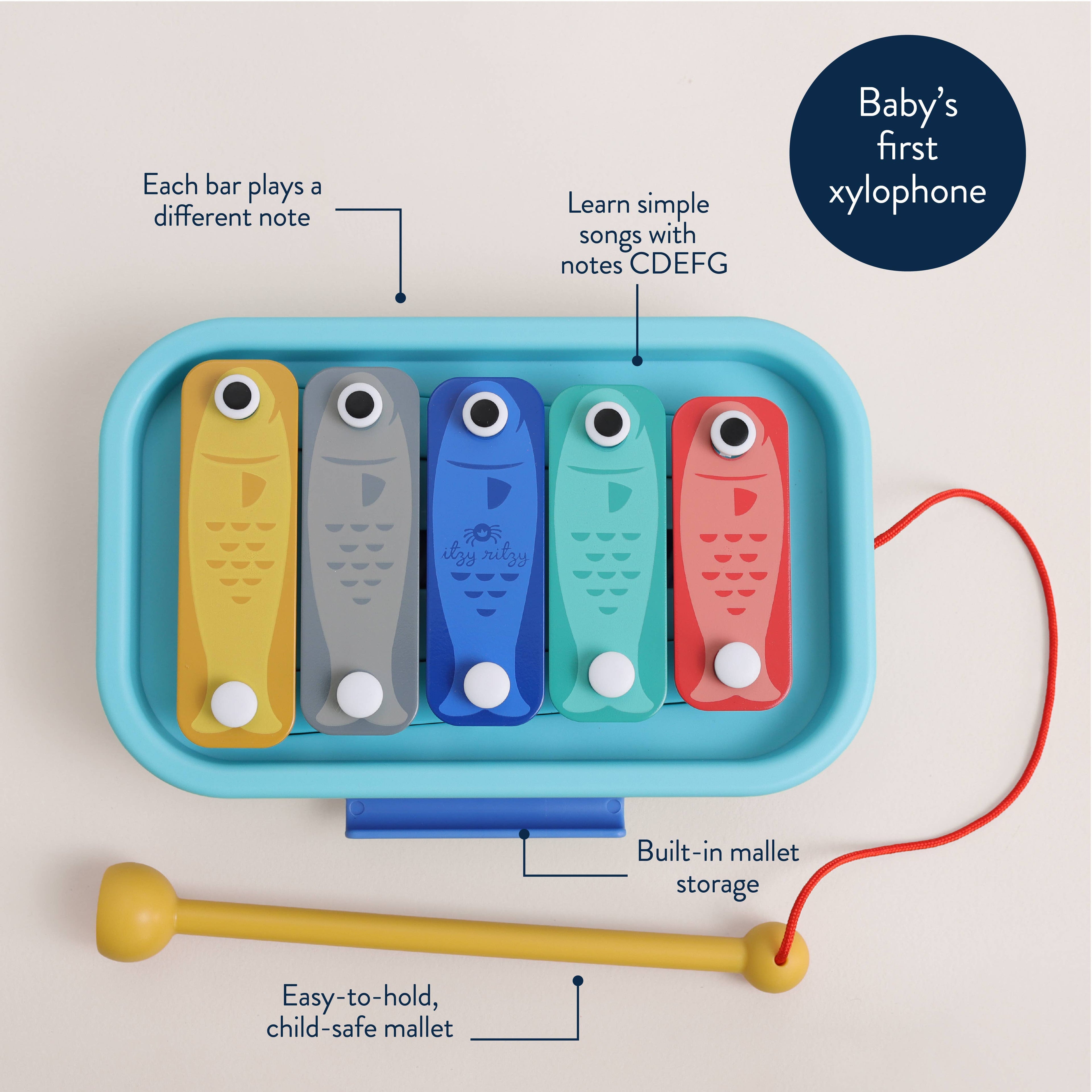 Xylophone Music School