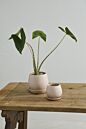 Dalton Pot with Saucer