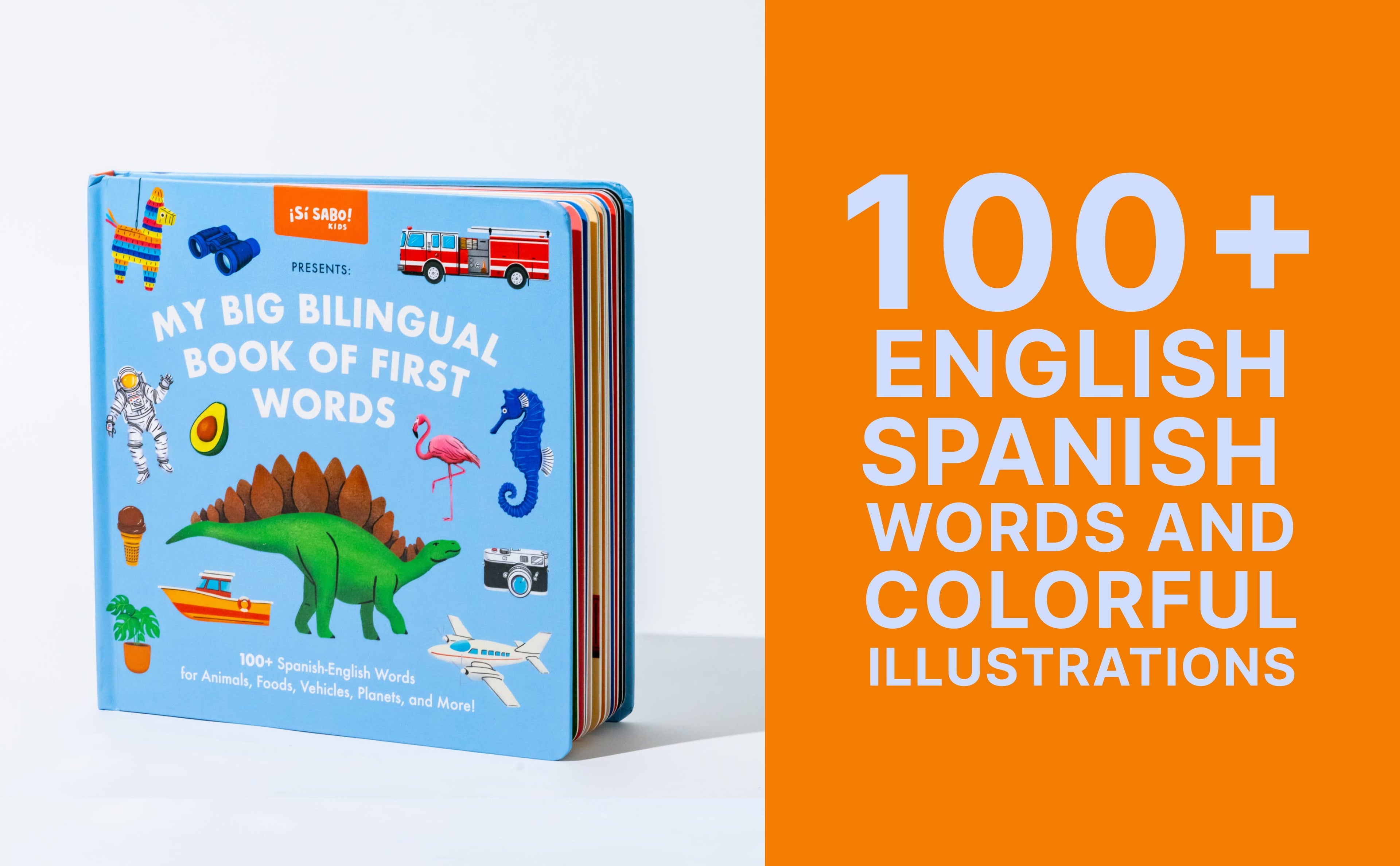 My Big Bilingual Book of First Words