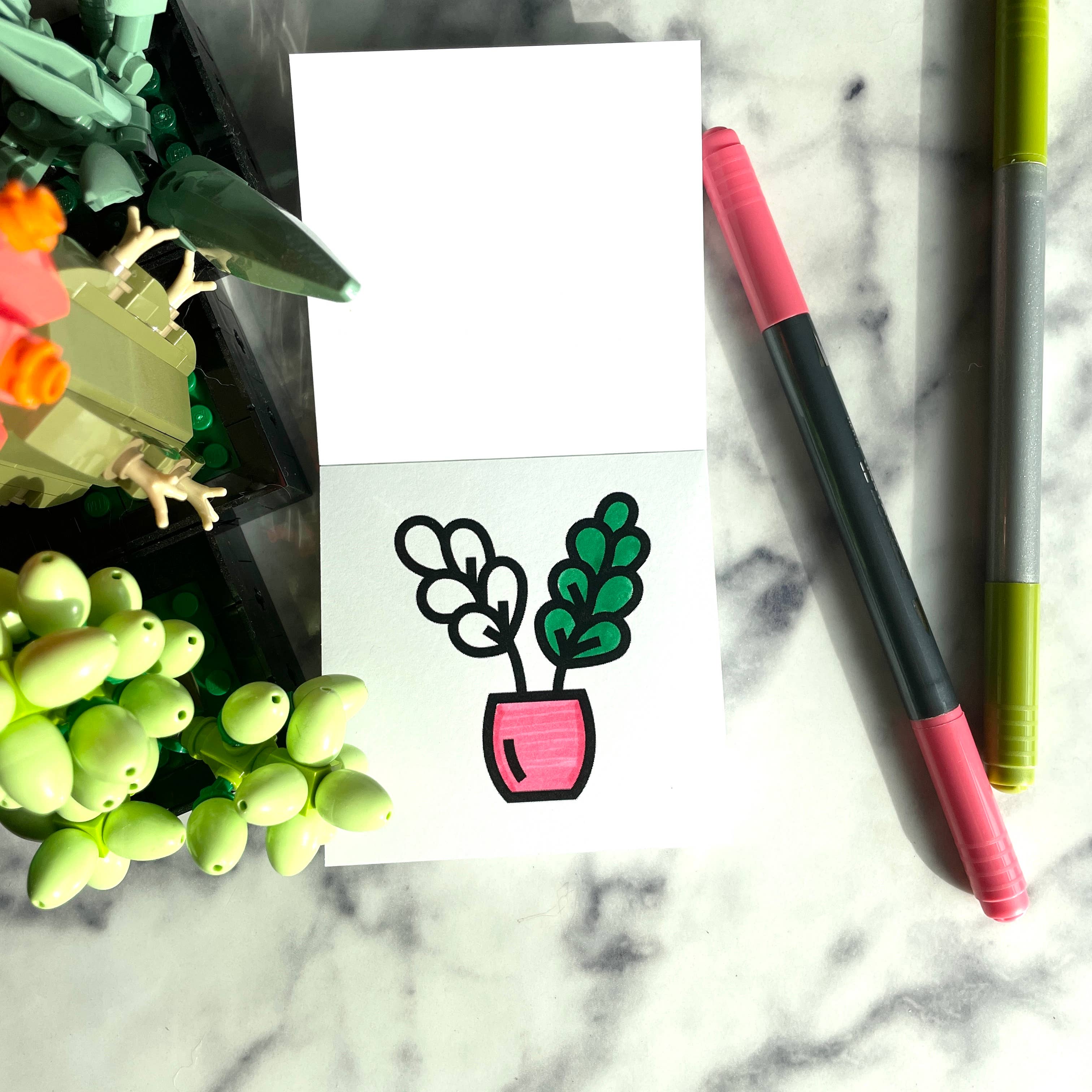 Birds Bugs and Botany Coloring Book