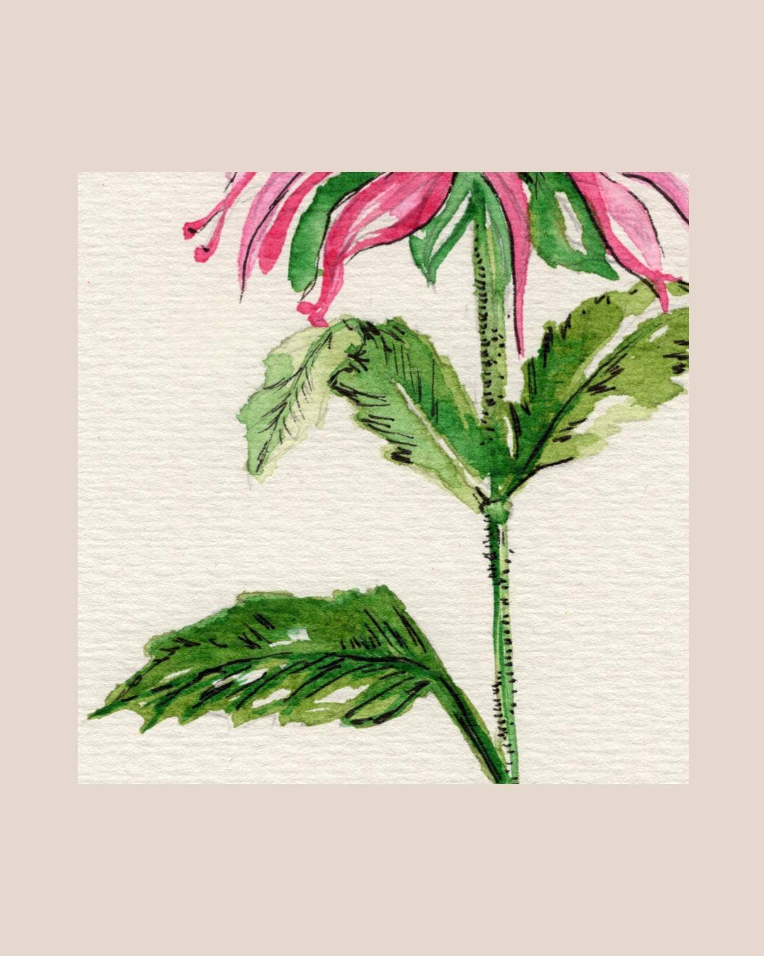 Wildflower Watercolor Print Botanical Wall Art