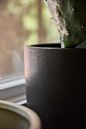 Elliott Pot
