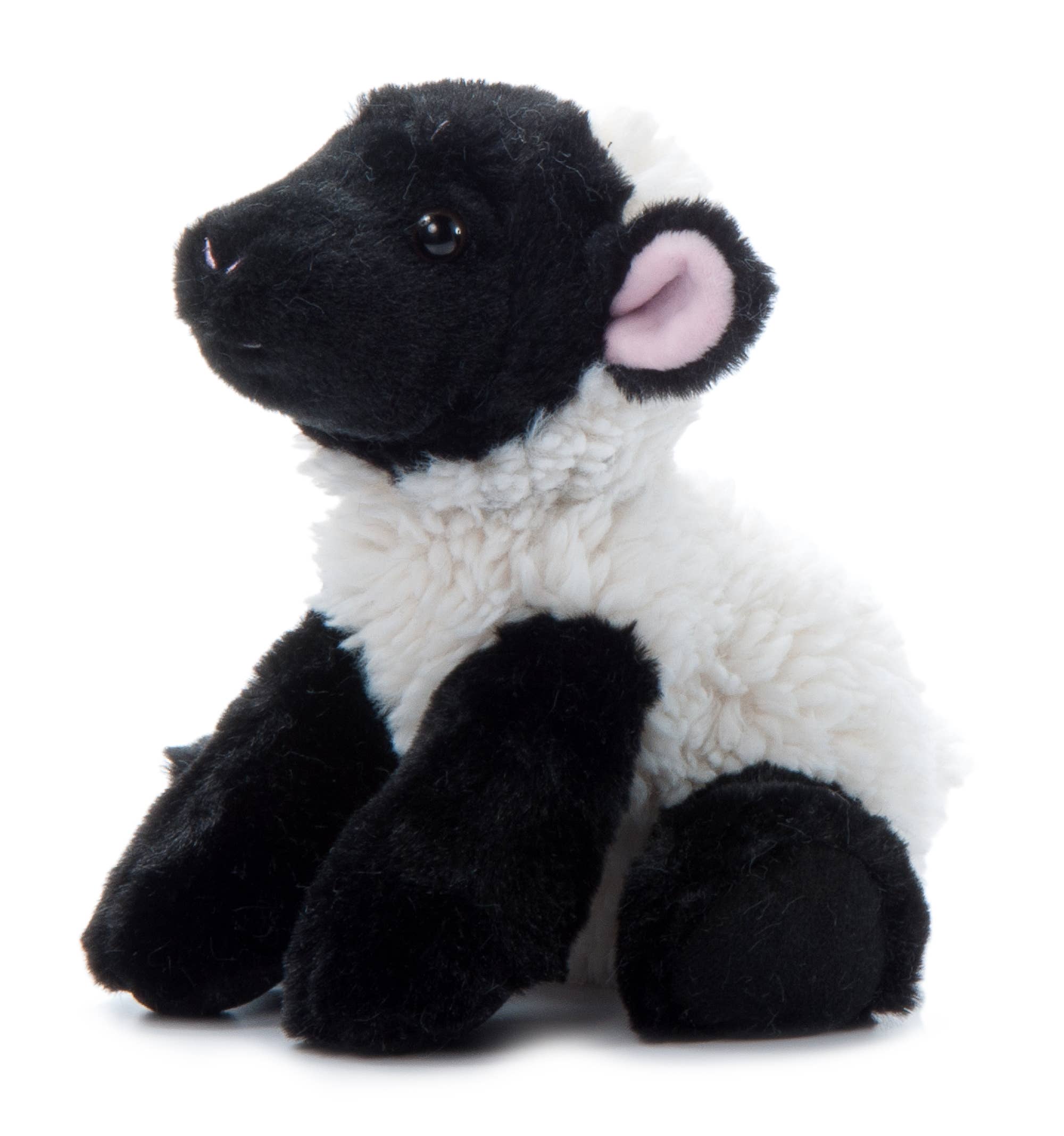 Wild Onez Lamb