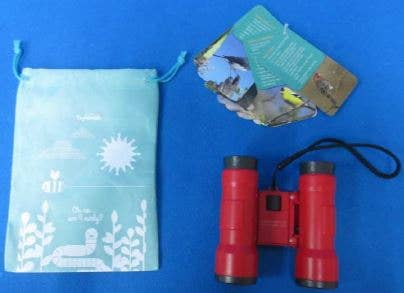 Bird Watching for Kids