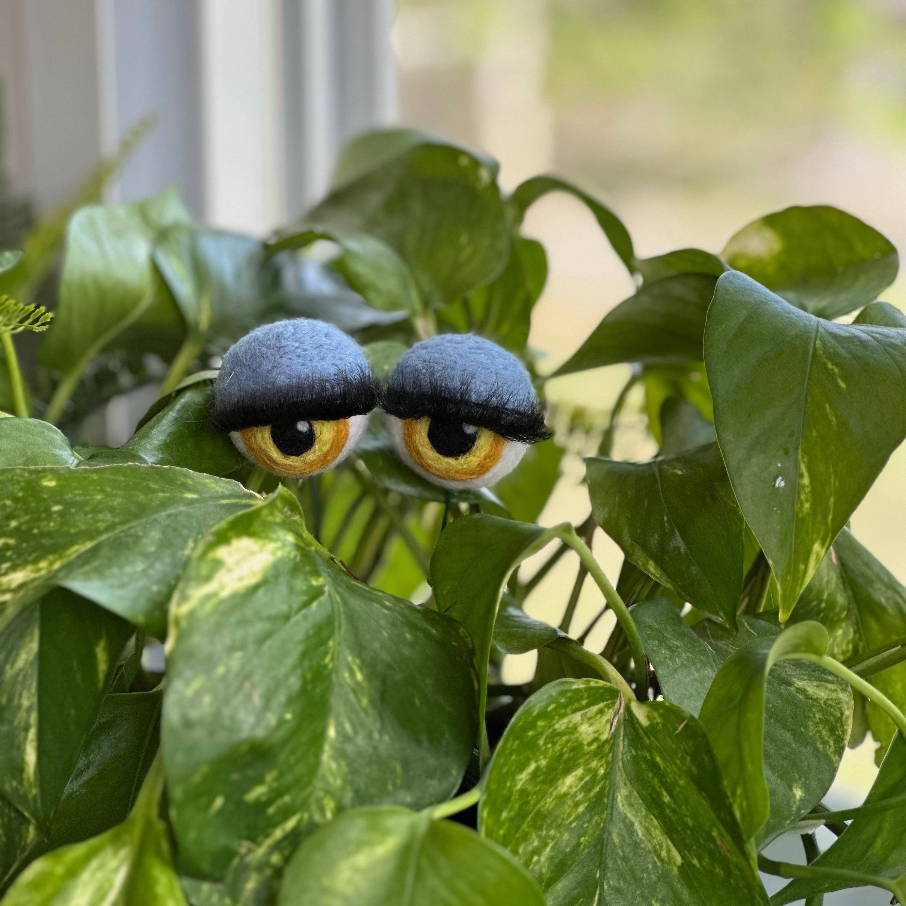 Planter Eyeballs with Lashes
