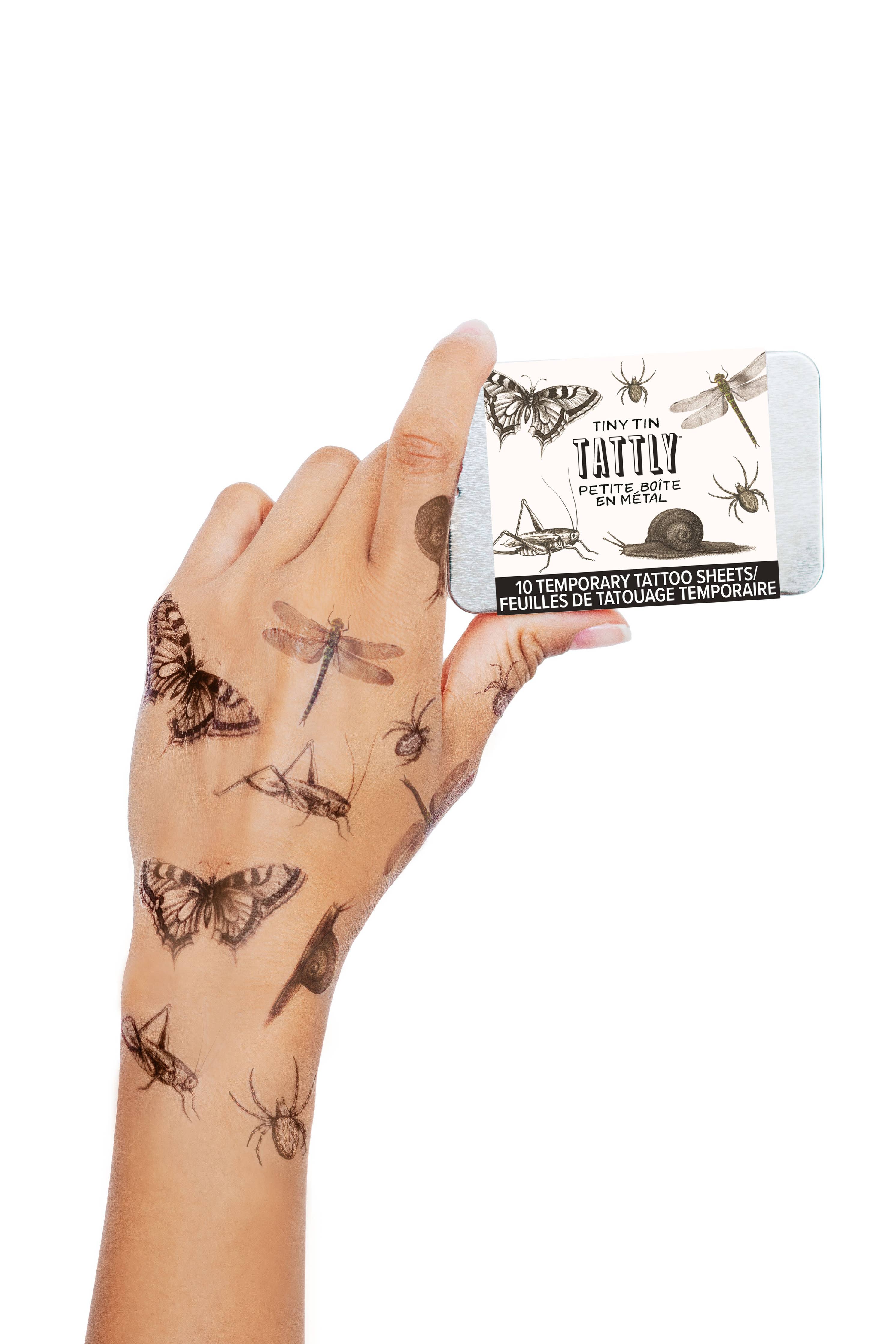 Insects Tiny Tin
