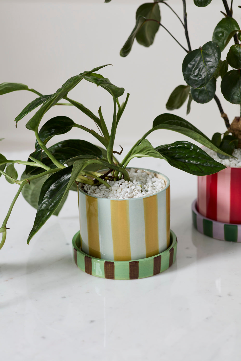 Joyelle Pot with Saucer