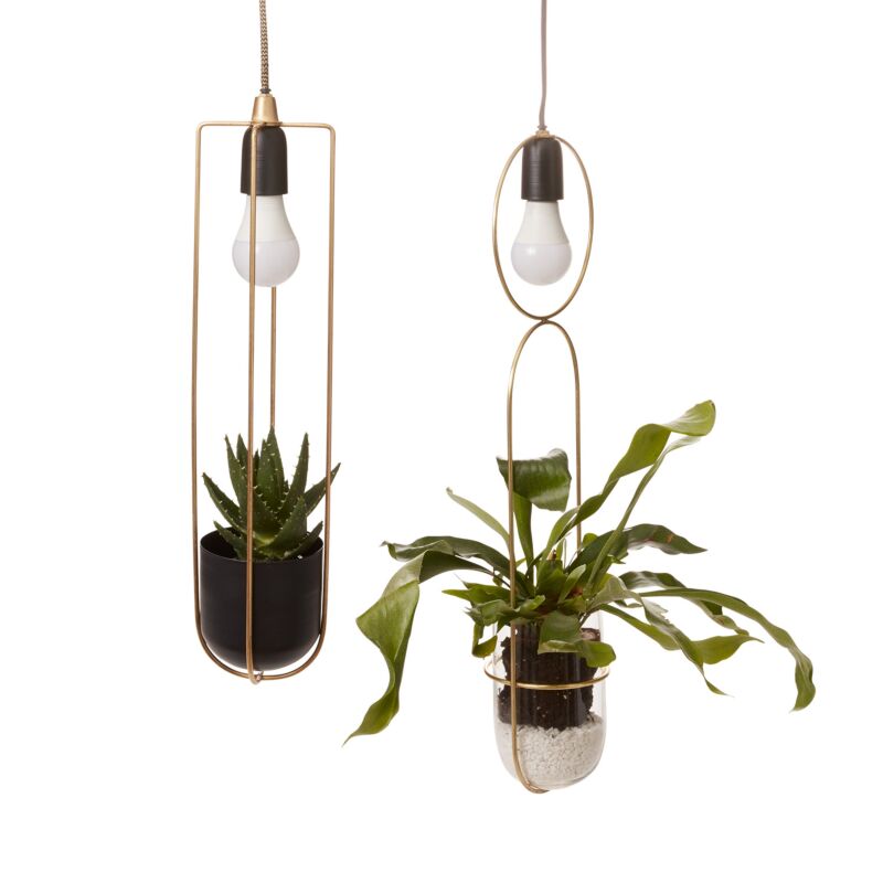 hanging plants bunnings Kol Hanging Planter 4.25" x 21.25"