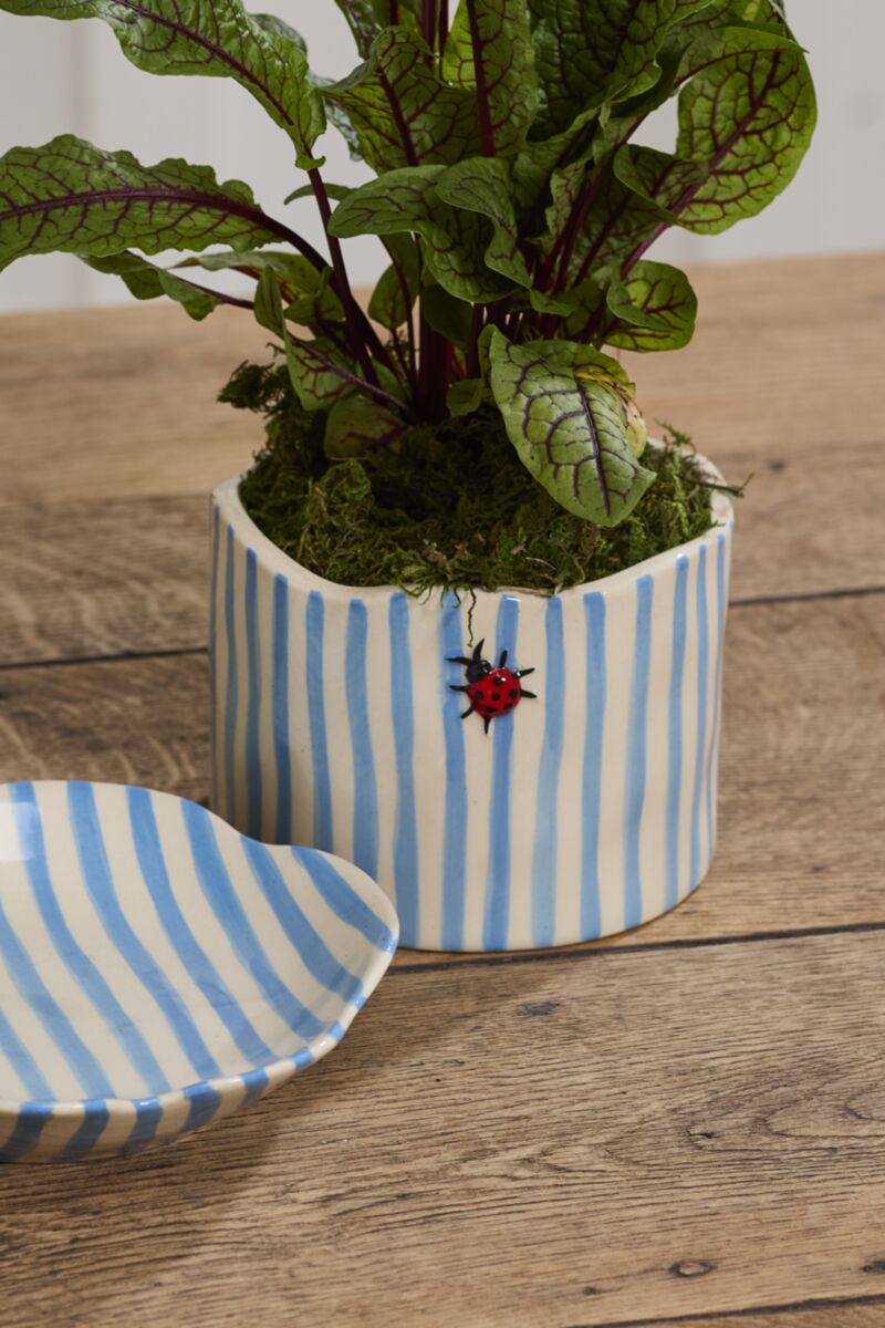 Ladybug Pot with Saucer