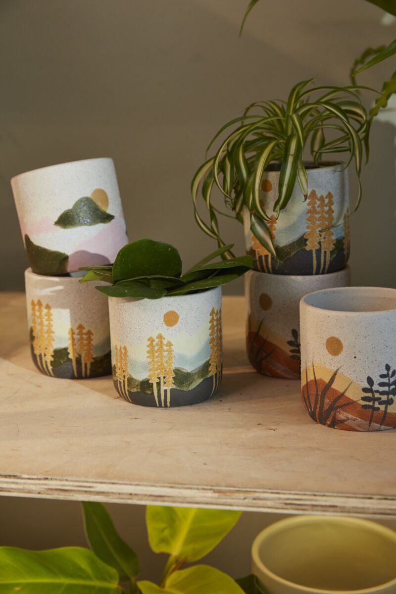 Mojave Pot