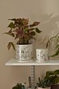 Plant Lady Pot with Saucer