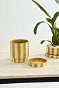 Saffron Pot with Saucer