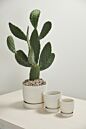 Salvage Pot with Saucer