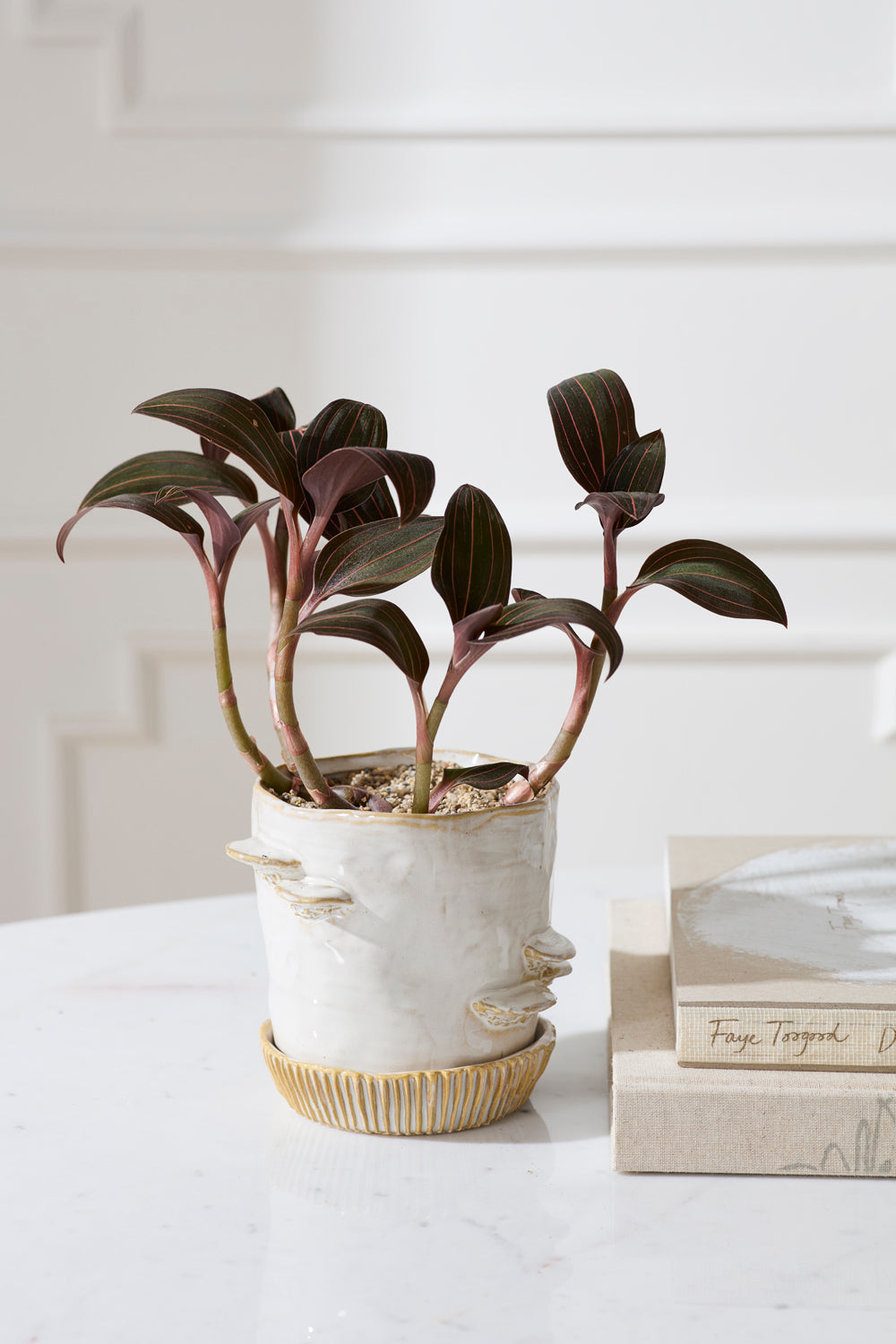 Stepped Mushroom Pot with Saucer