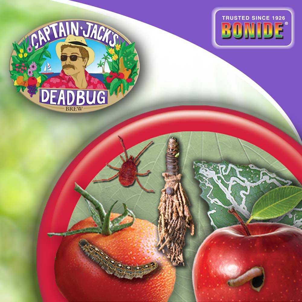 Bonide Captain Jack’s DBB® Concentrate