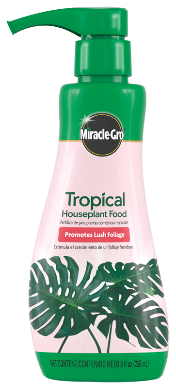 tropical house plant food Miracle-Gro® Tropical Houseplant Food