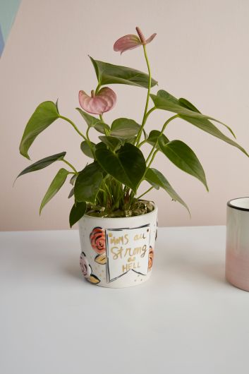 Matriarch Pot