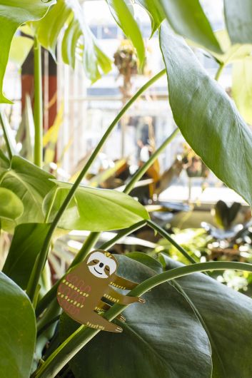 Plant Pals