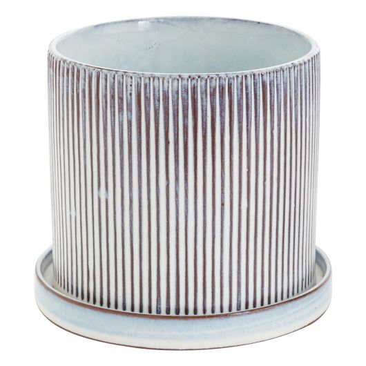 Curio Pot