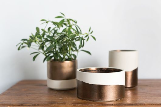 Qdoba Pot