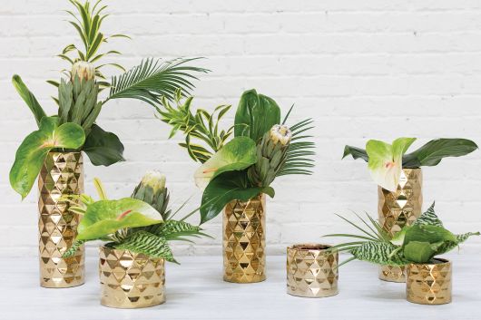 Architect Pot