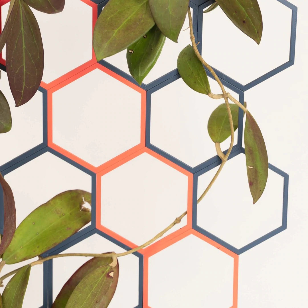 Super Trellis Small Starter Pack