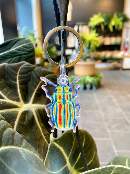 "Rainbow Beetle" Keychain