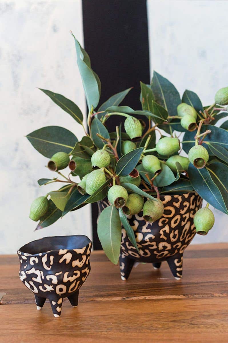 Leesi Pot