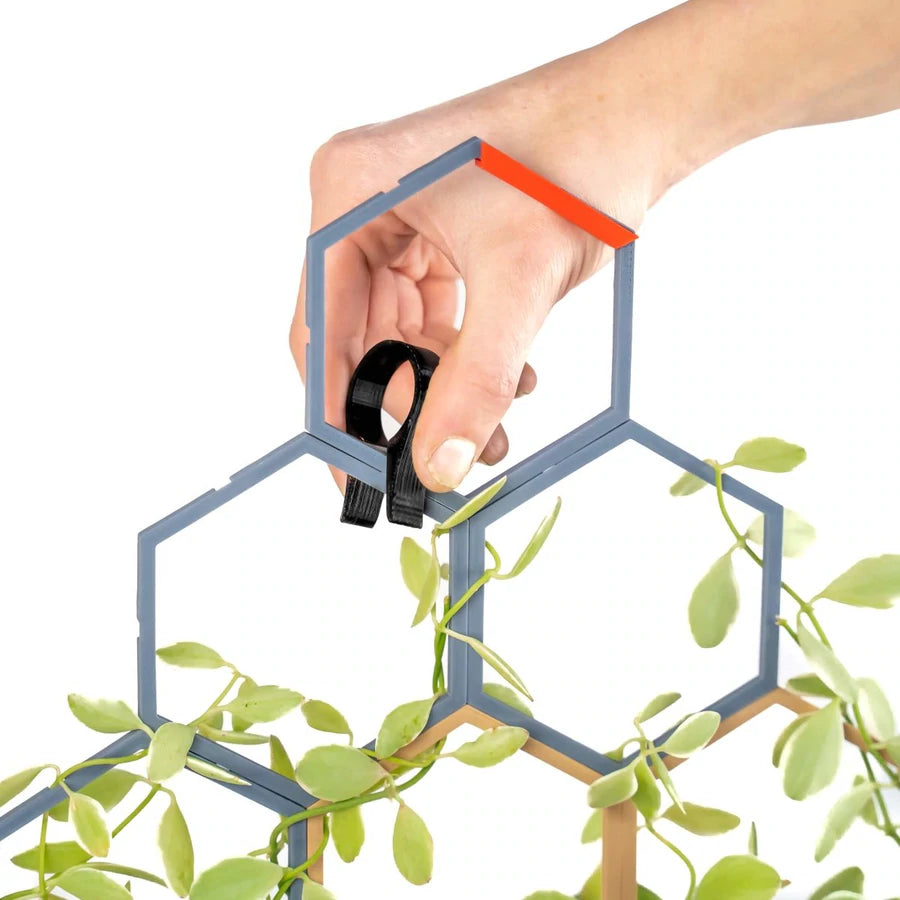 Super Trellis Small Starter Pack