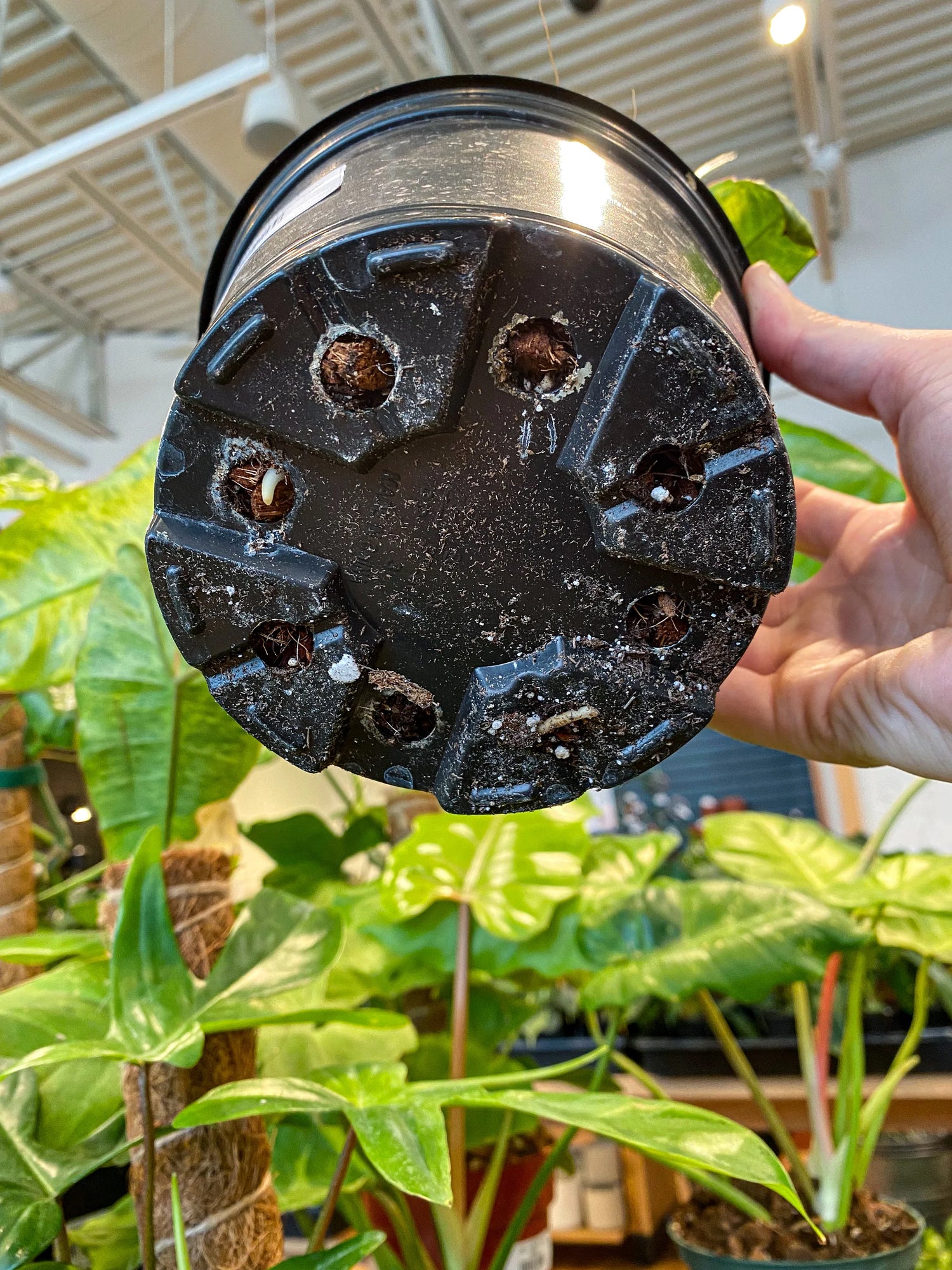 Drainage; here's the info.