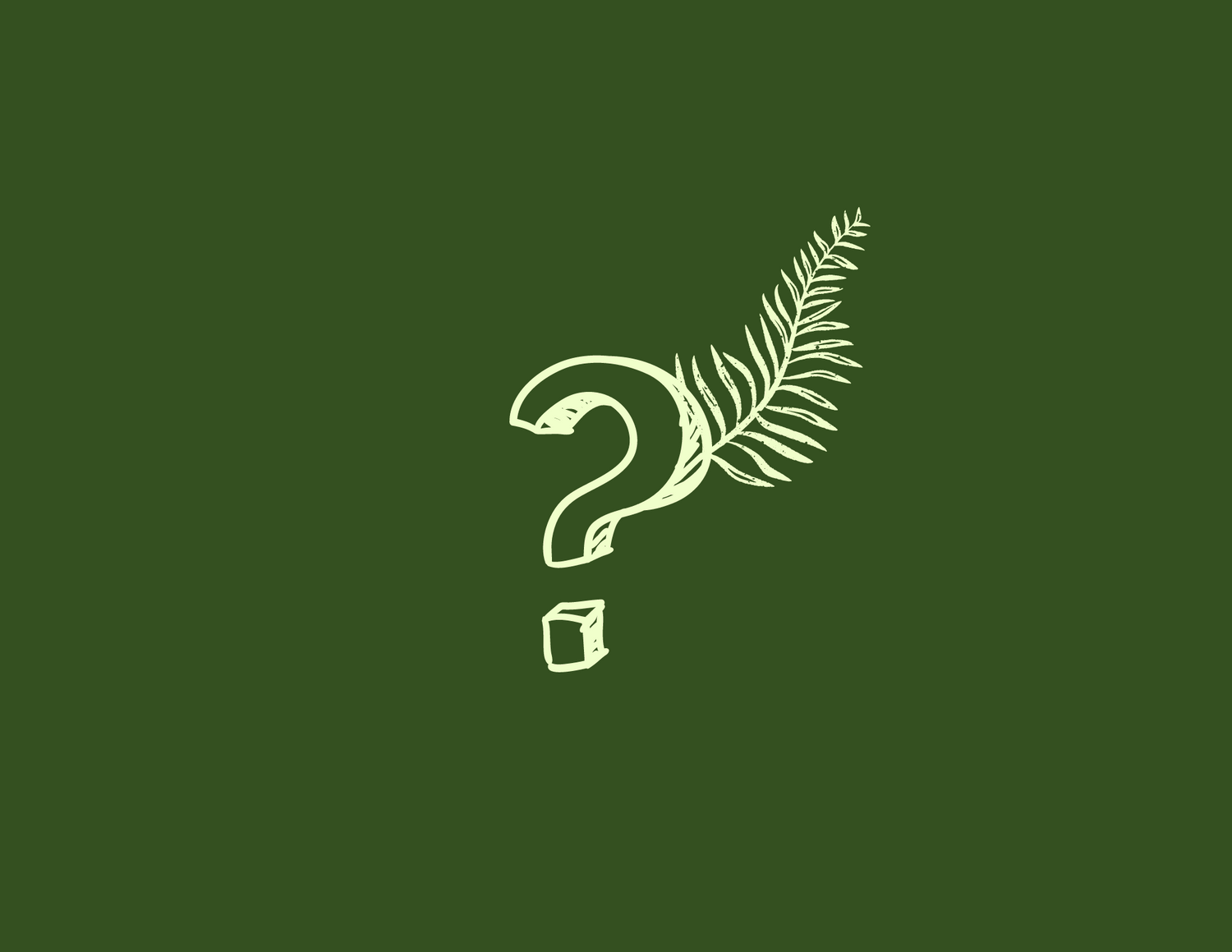 What the Epiphyte?! Learn the Basics of Air Plants