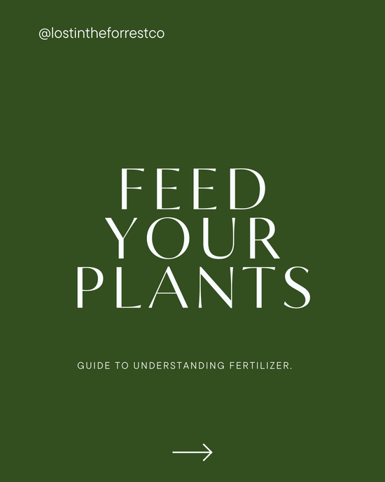 Feed Your Plants!
