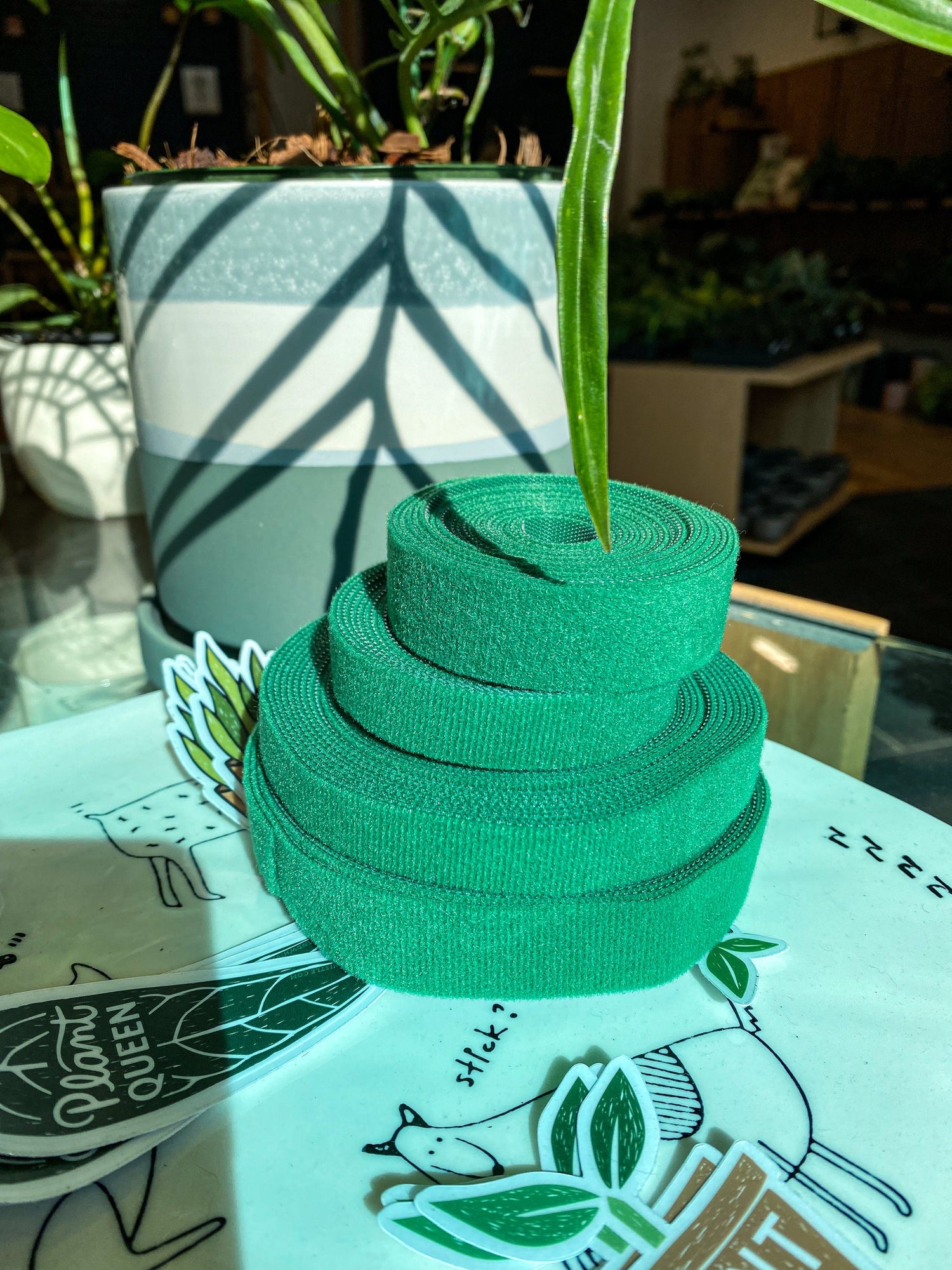 Gift Guide for the plant lovers in your life, but no plants!