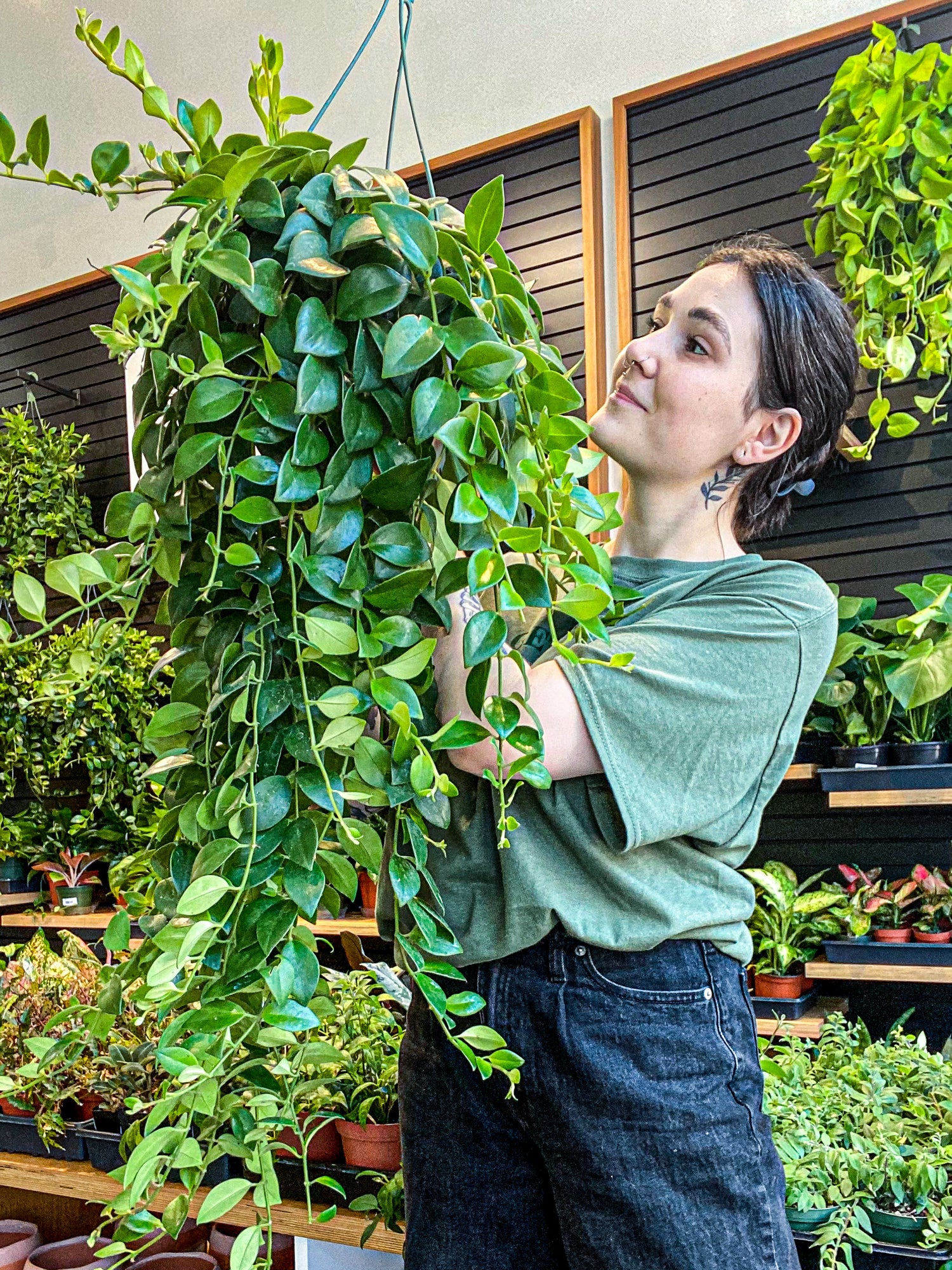 Pet-Friendly Plants; Keeping your furry friends safe!