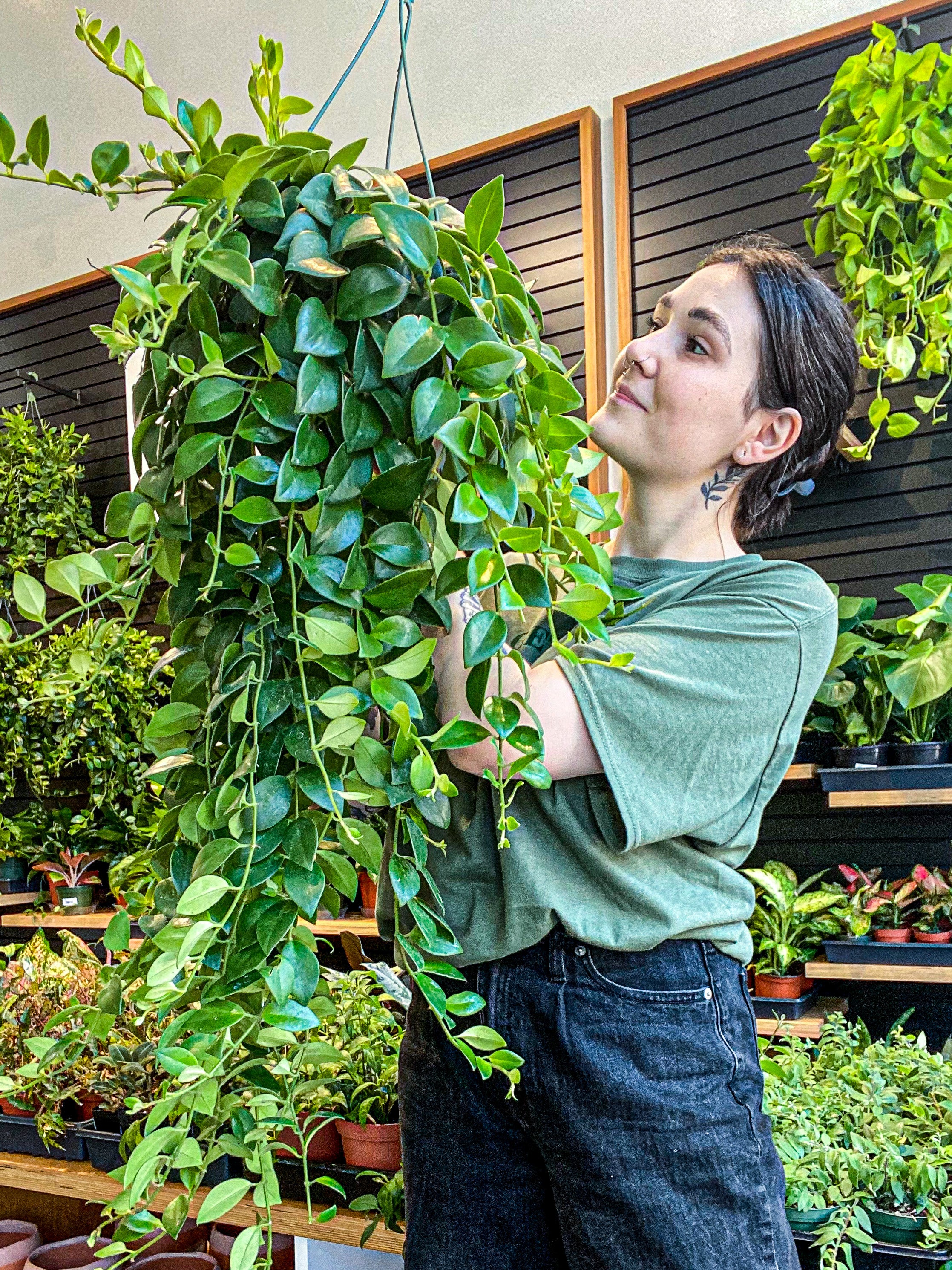 Pet-Friendly Plants; Keeping your furry friends safe!