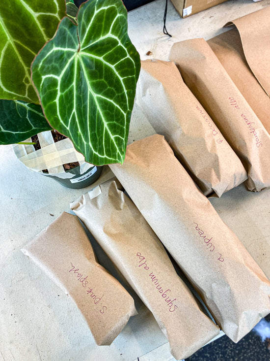 Everything you need to know about PLANT MAIL!