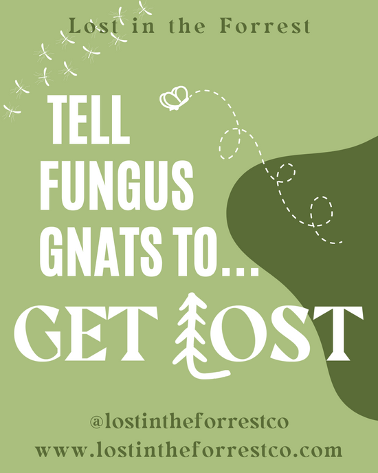 Tell Fungus Gnats to GET LOST!