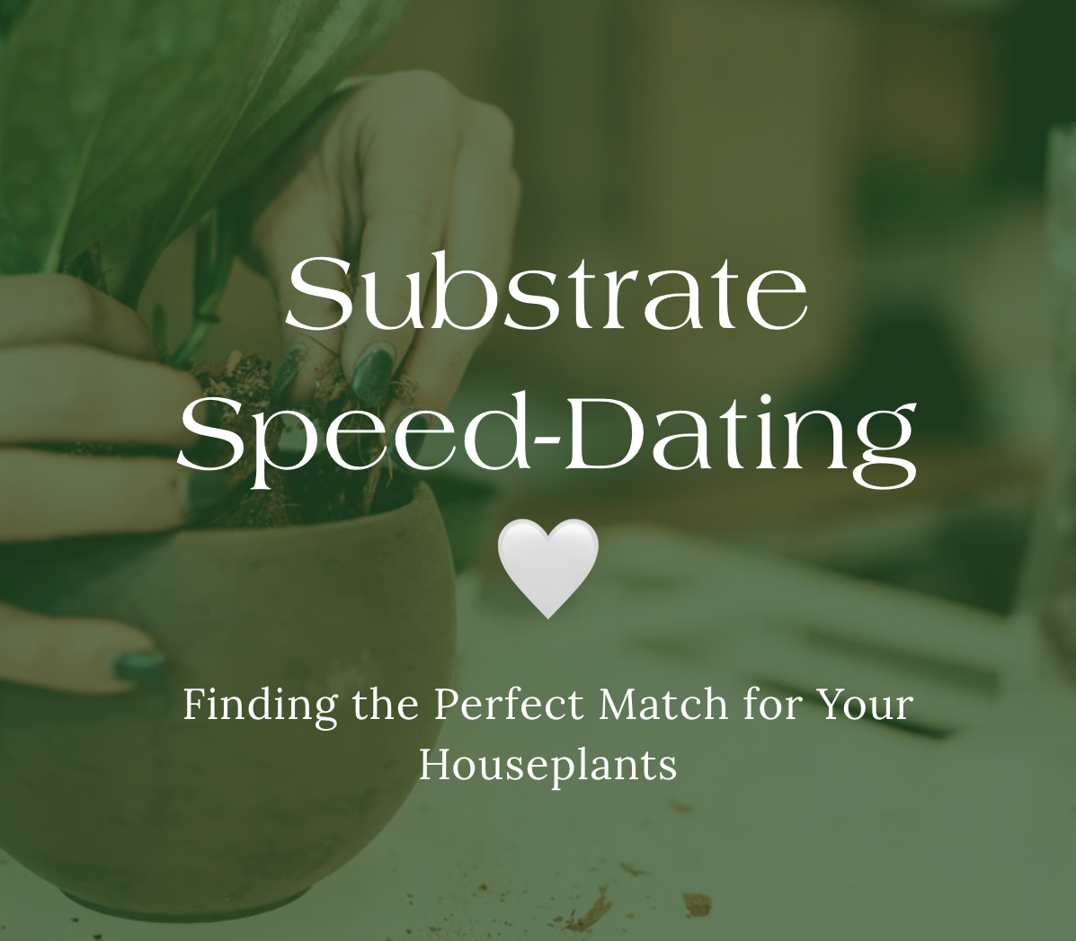 Substrate Speed-Dating: Finding the Perfect Substrate Match for Your Houseplants