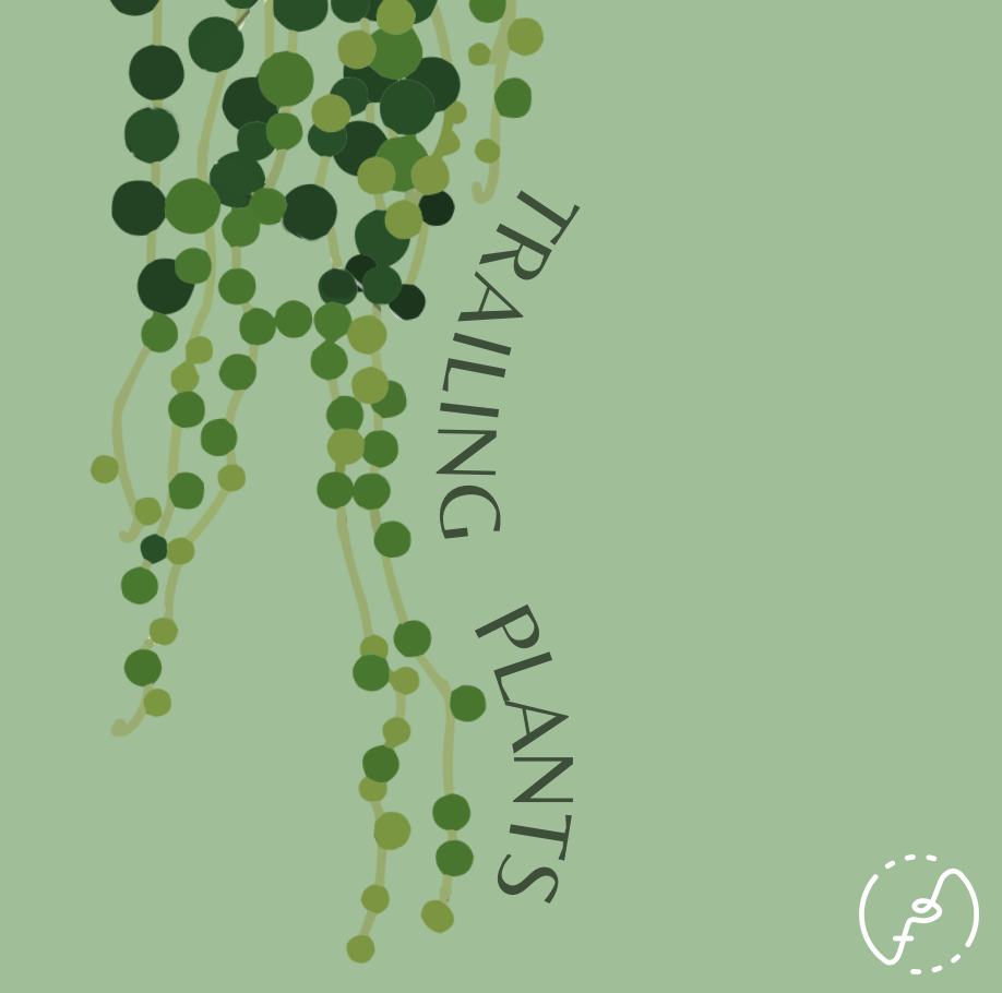 Follow the Trail: Our favorite trailing plants to add to your collection