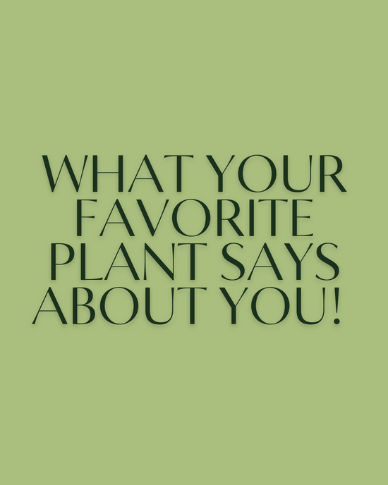 What Your Favorite Plant Says About You!