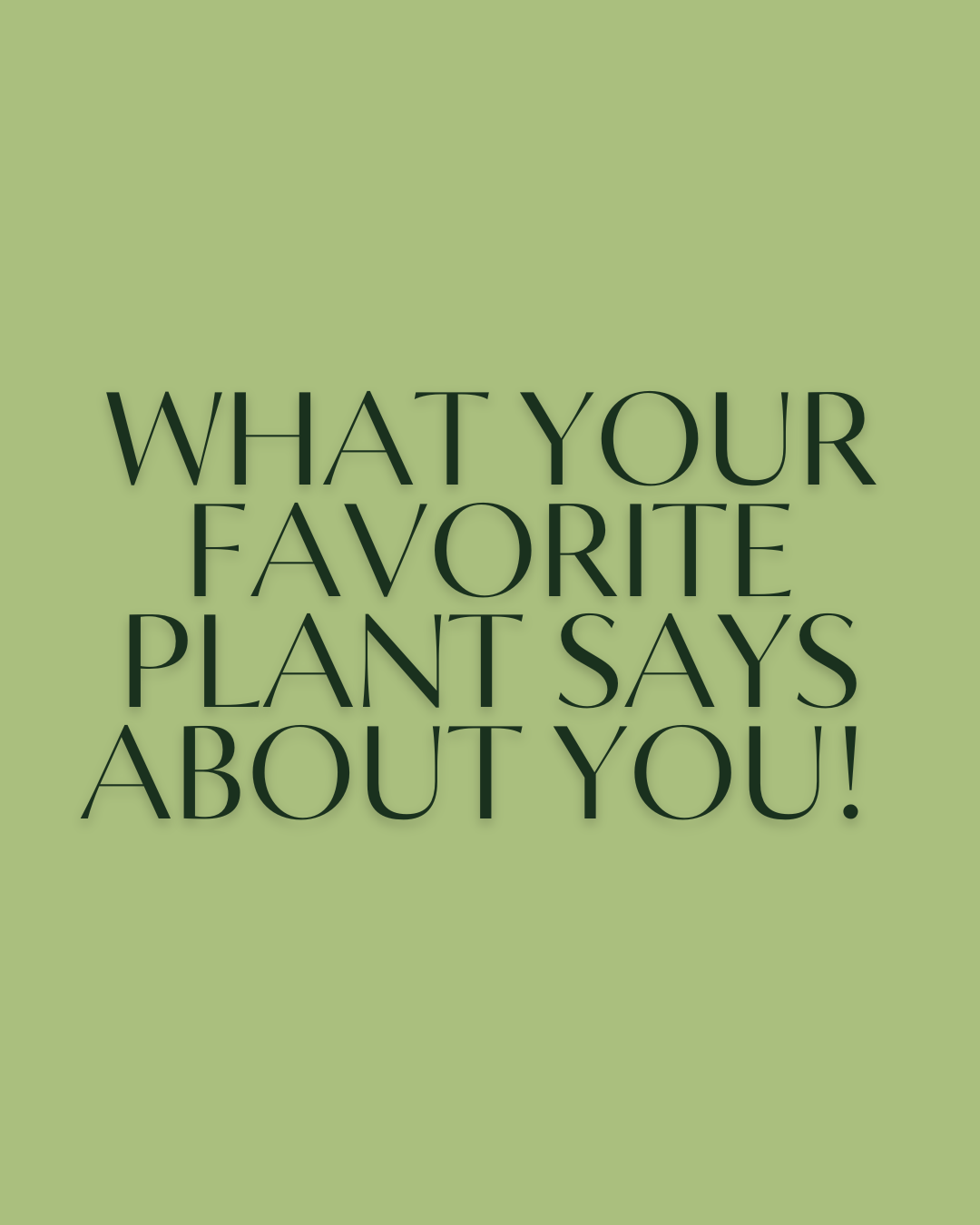 What Your Favorite Plant Says About You!