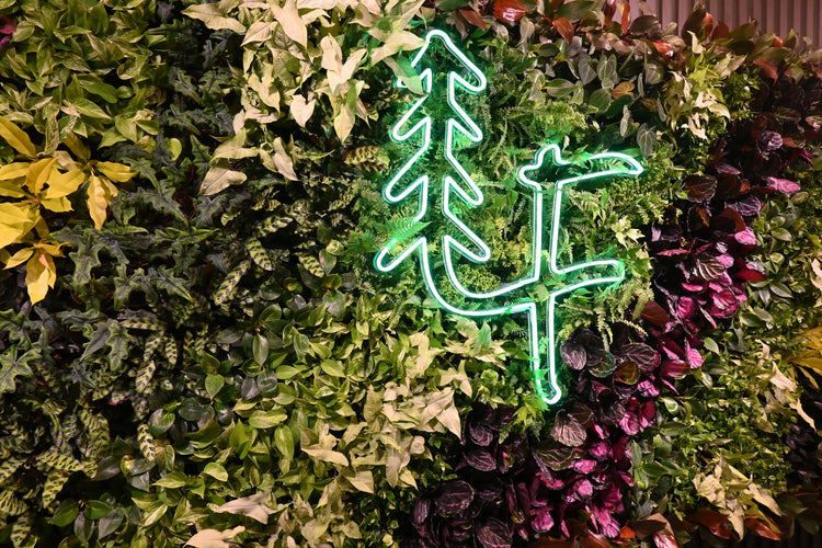 The Living Wall
